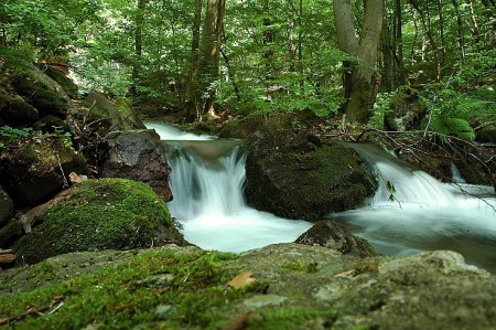 Bystrý potôčik